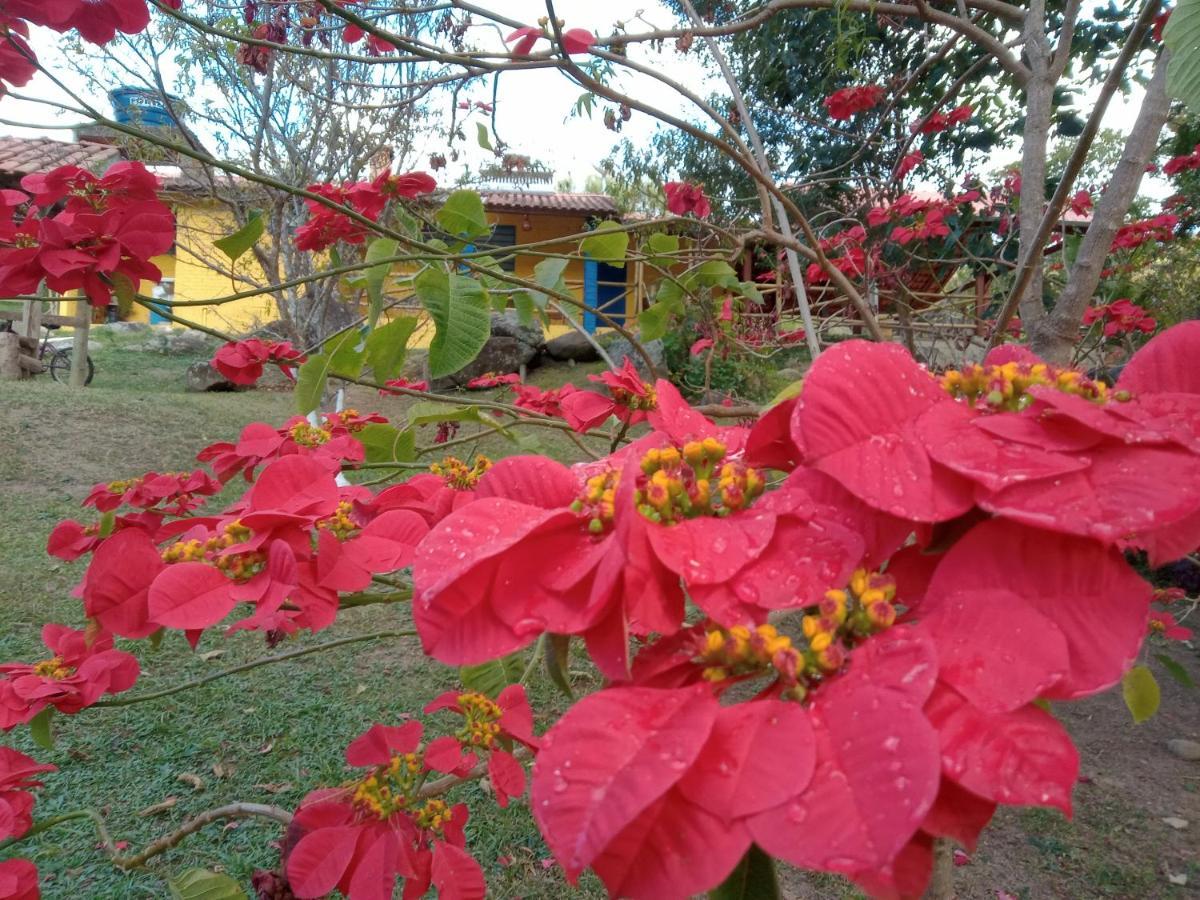 Rancho Pedra Preta Itamonte Exterior foto